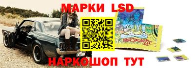 apvp Краснодар