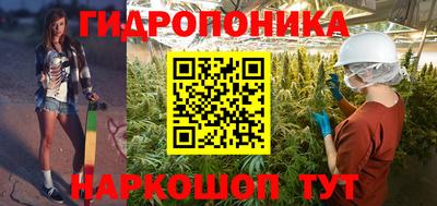 apvp Краснодар